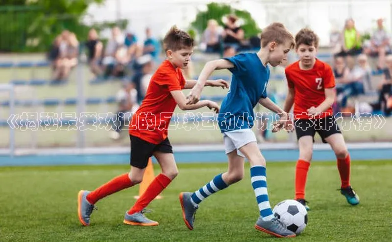 星空官网登录入口猫眼《揭秘最受欢迎的足球运动小说完本排行榜》