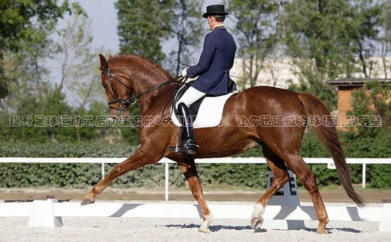 星空体育app最新版本知乎提升足球运动员启动速度的6大训练技巧，让你迅速成为球场上的明星