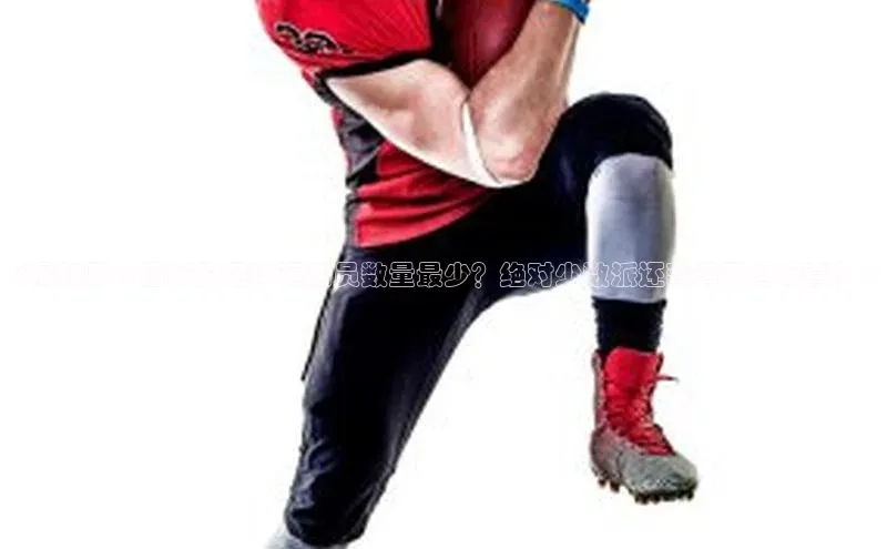 星空综合体育APP下载携程《揭秘哪个国家的足球运动员数量最少？绝对少数派还藏着哪些惊喜？》