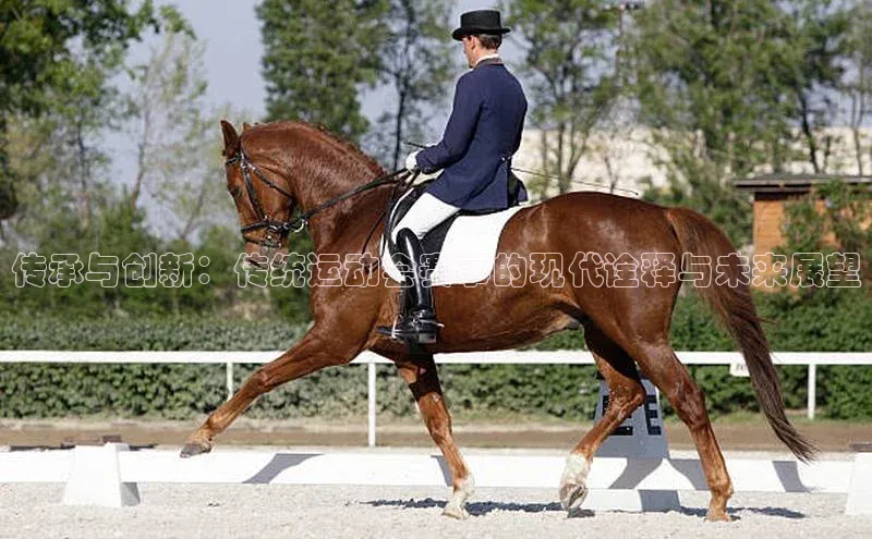 星空app登录入口官网路畅科技传承与创新：传统运动会赛事的现代诠释与未来展望