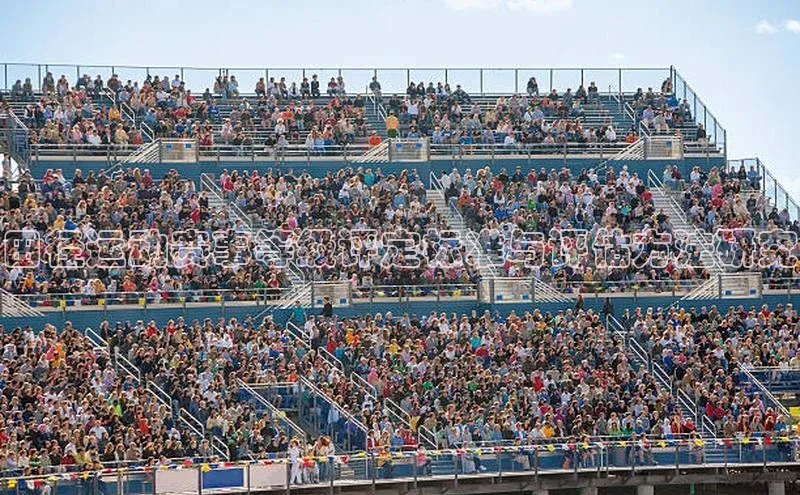 星空·体育中国官方网哇咔哇咔文化田径运动赛事等级评定标准与评估方法研究