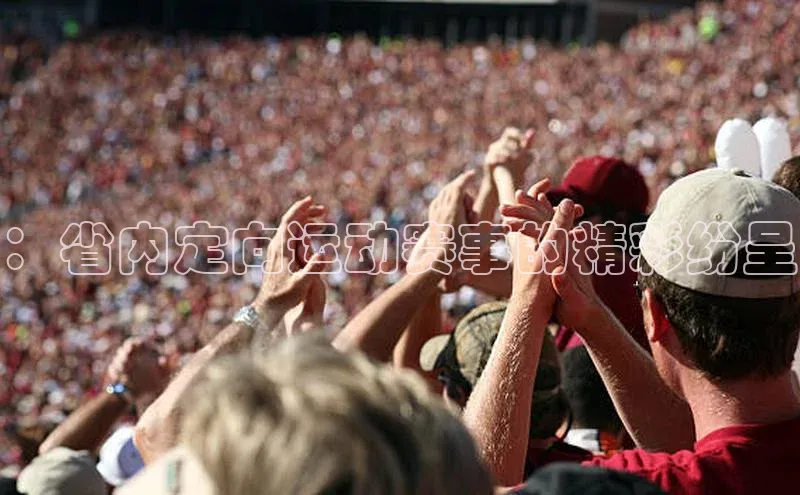 ：省内定向运动赛事的精彩纷呈