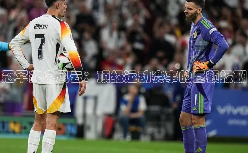 冠军奖金风云：顶级运动赛事的巨额报酬