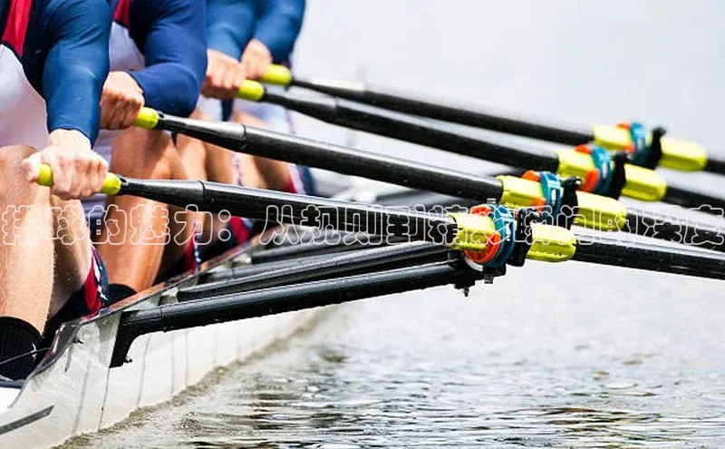 排球的魅力：从规则到精彩瞬间的深度