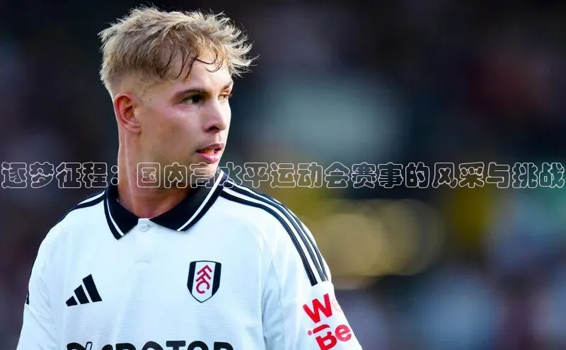 逐梦征程：国内高水平运动会赛事的风采与挑战
