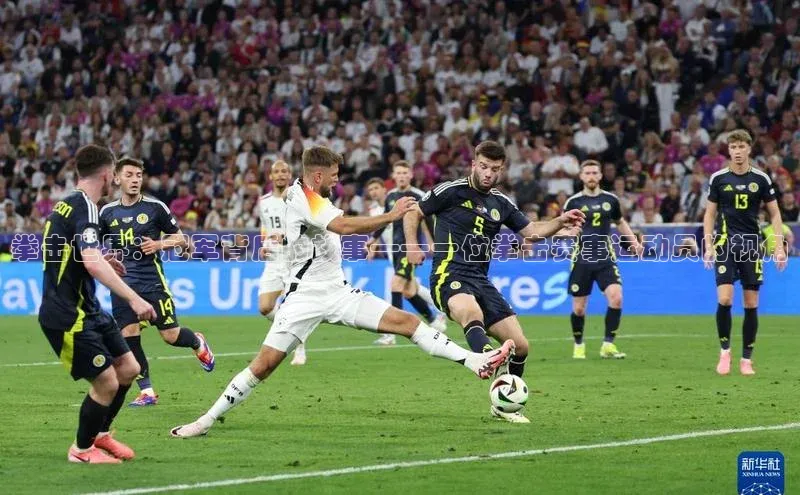 拳击世界：冠军背后的故事——一位拳击赛事运动员的视角