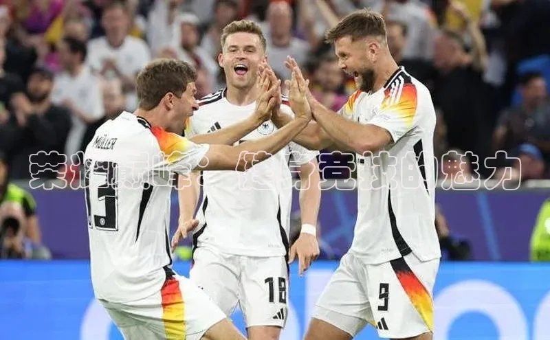 荣耀巅峰：健身竞技的魅力