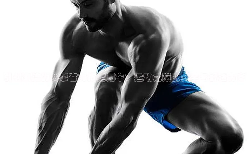 引领潮流的赛事官方指定用车：运动之巅的安全与舒适方案