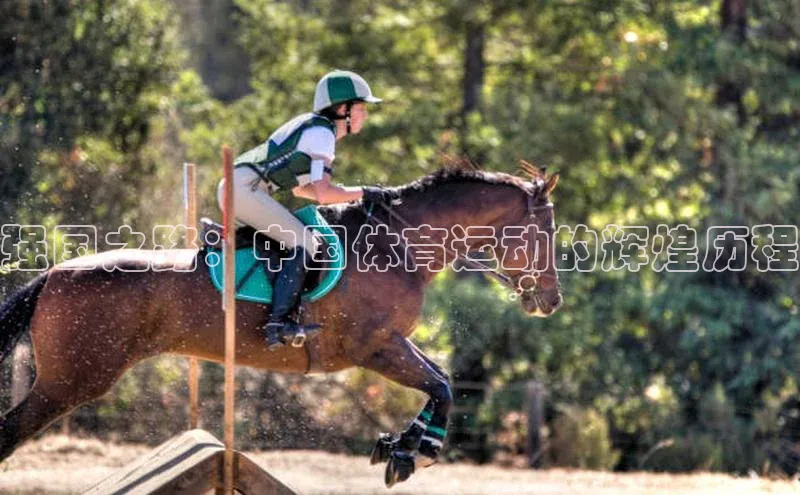 强国之路：中国体育运动的辉煌历程