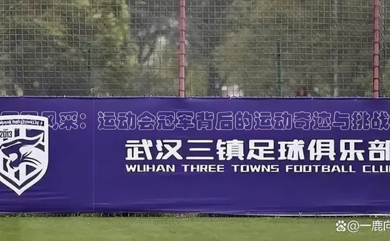 冠军风采：运动会冠军背后的运动奇迹与挑战